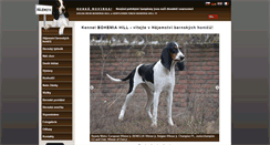 Desktop Screenshot of bernsky-honic.cz